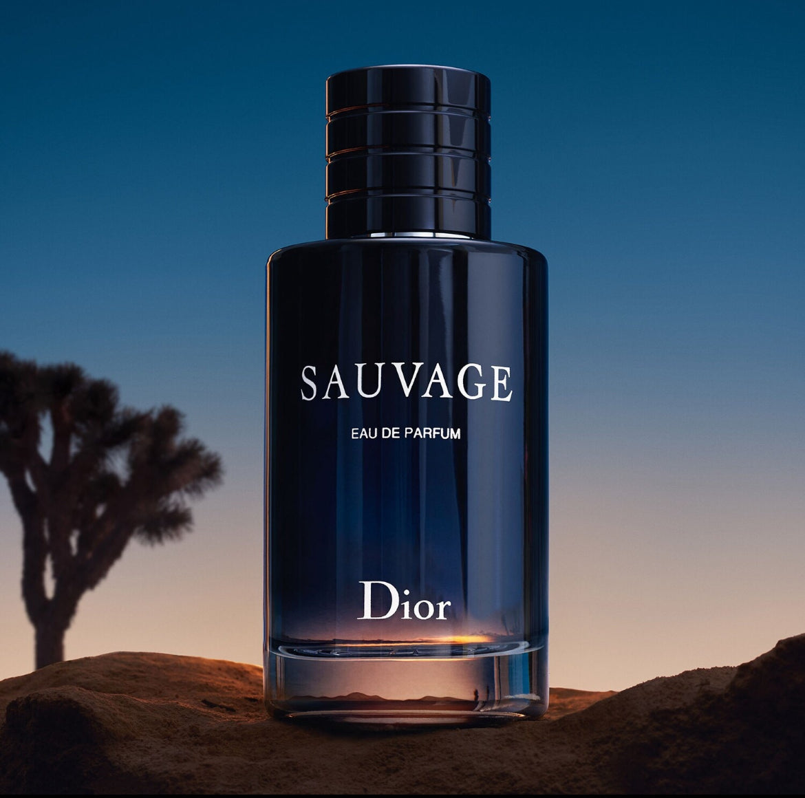 DIOR sauvage notes épicées & d’absolu vanille