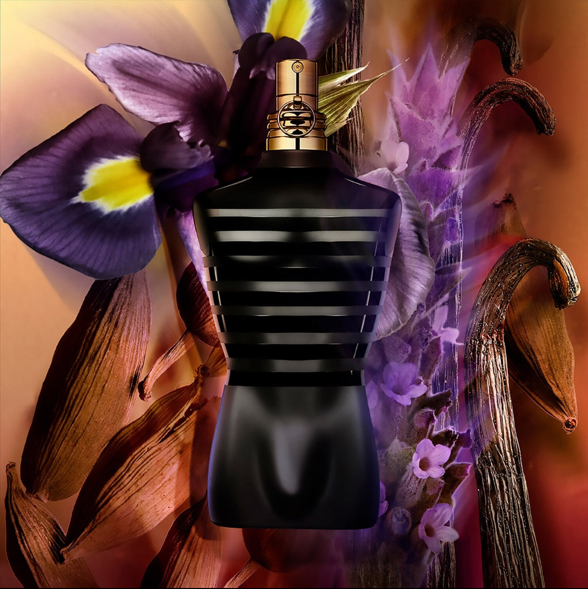 JEAN PAUL GAULTIER le mâle eau de parfum intense notes de cardamome, lavande et iris.