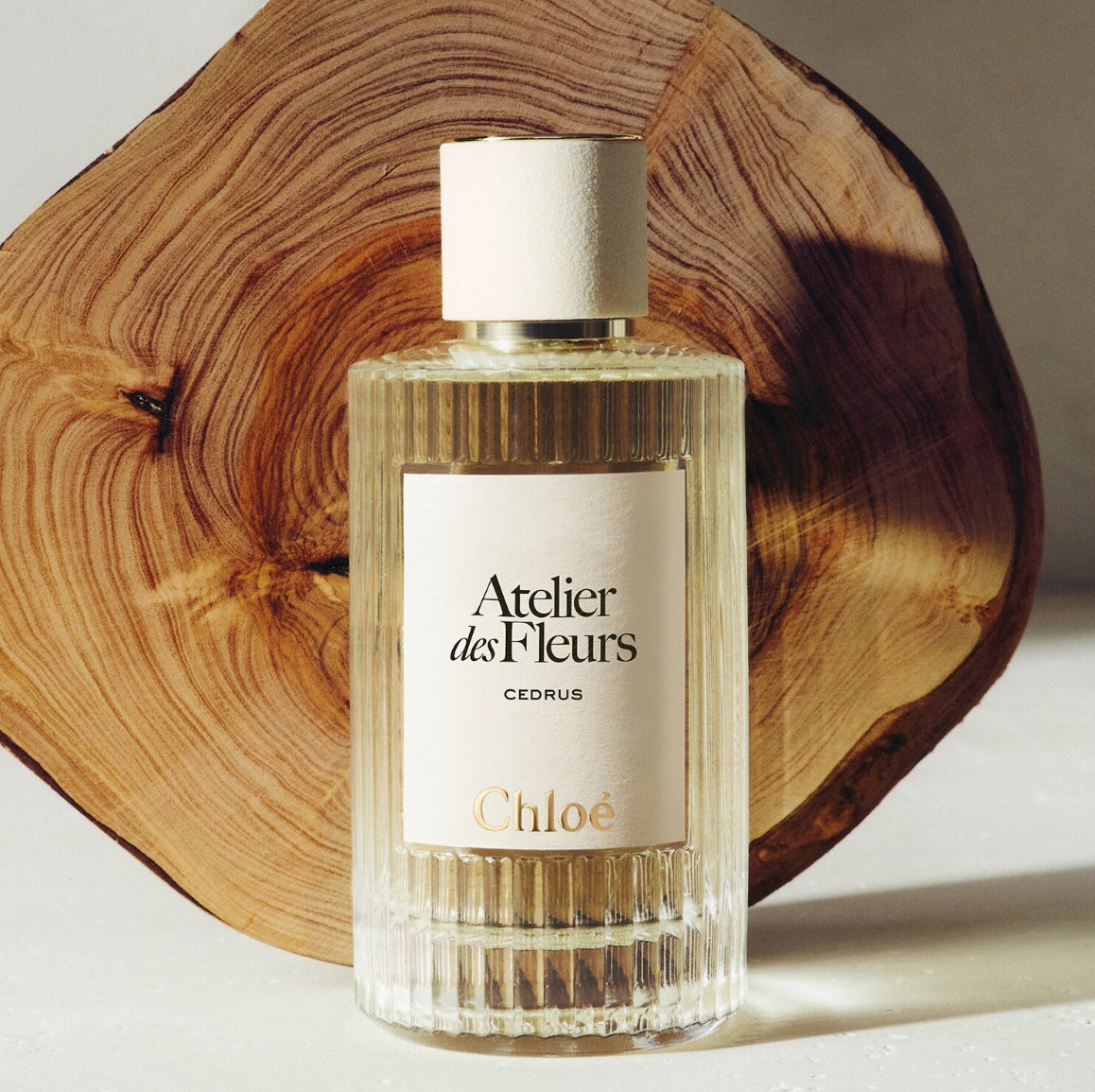 CHLOÉ ateliers des fleurs cedrus eau de parfum