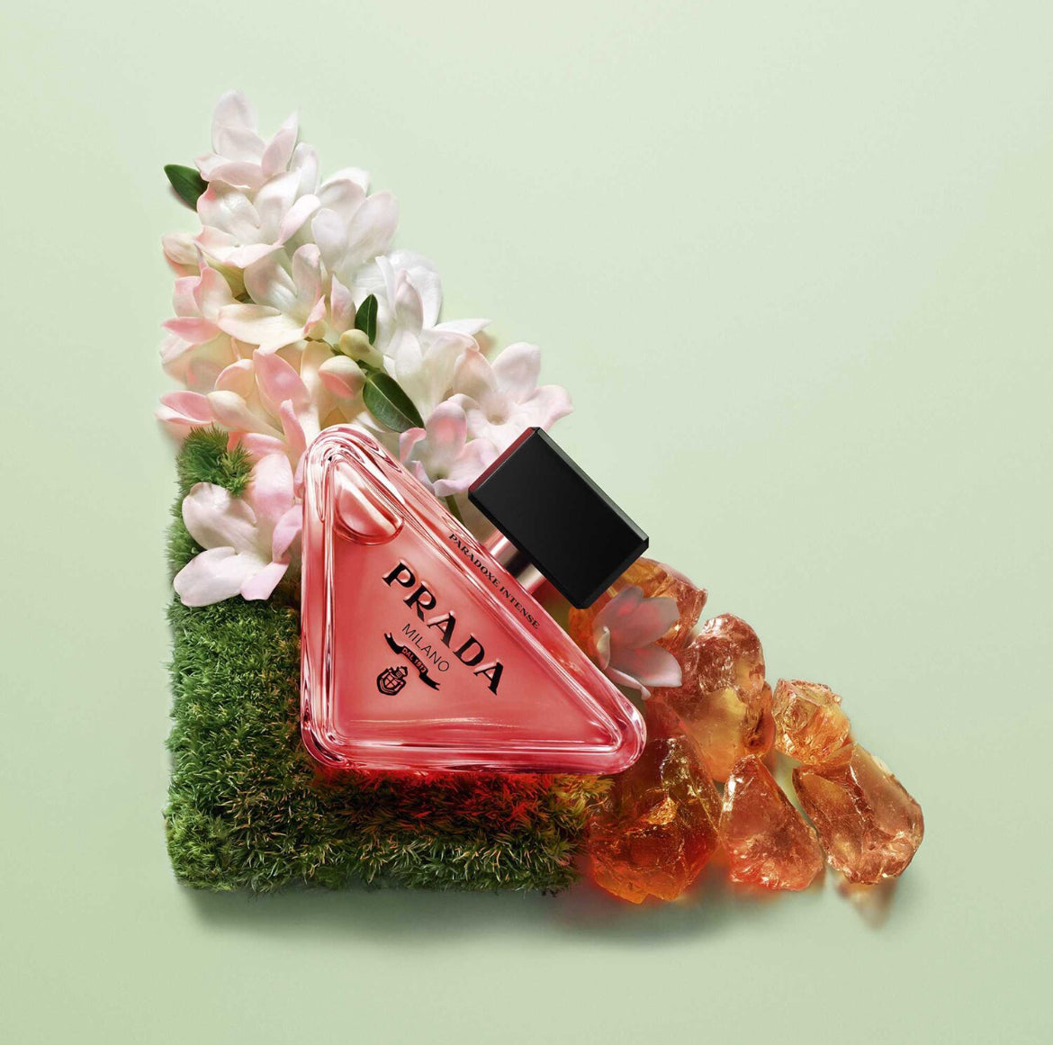 PRADA Paradoxe intense eau de parfum florale ambrée boisée