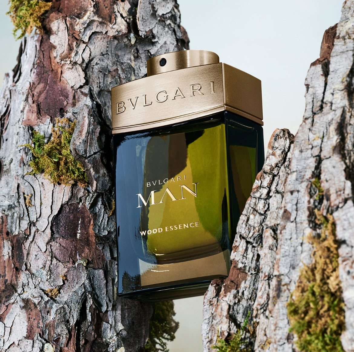 BVLGARI , Man Wood Essence, Eau de Parfum