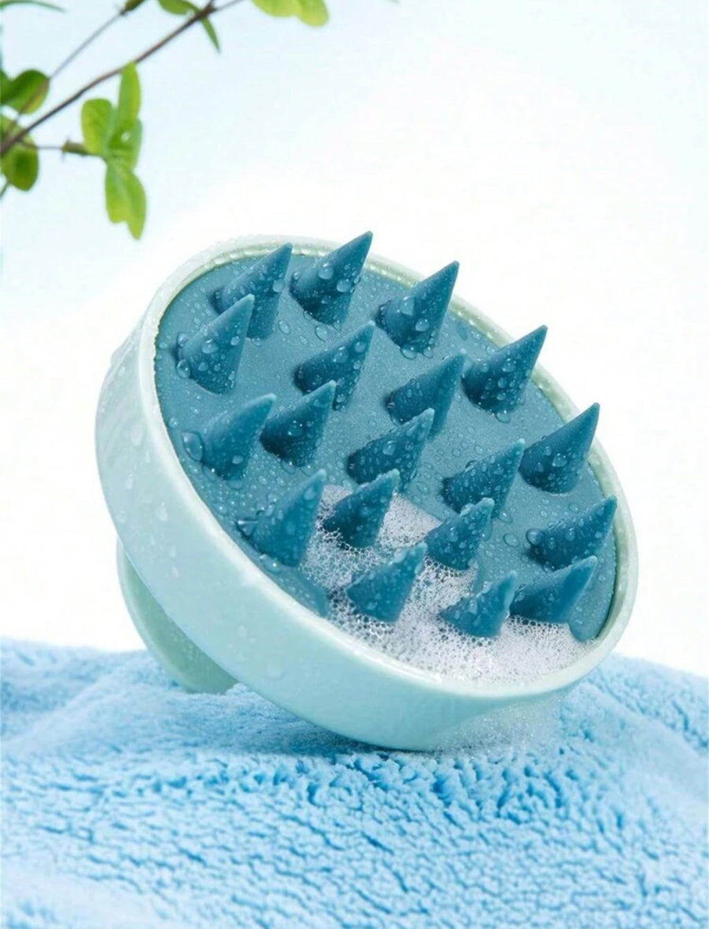 Brosse de Massage