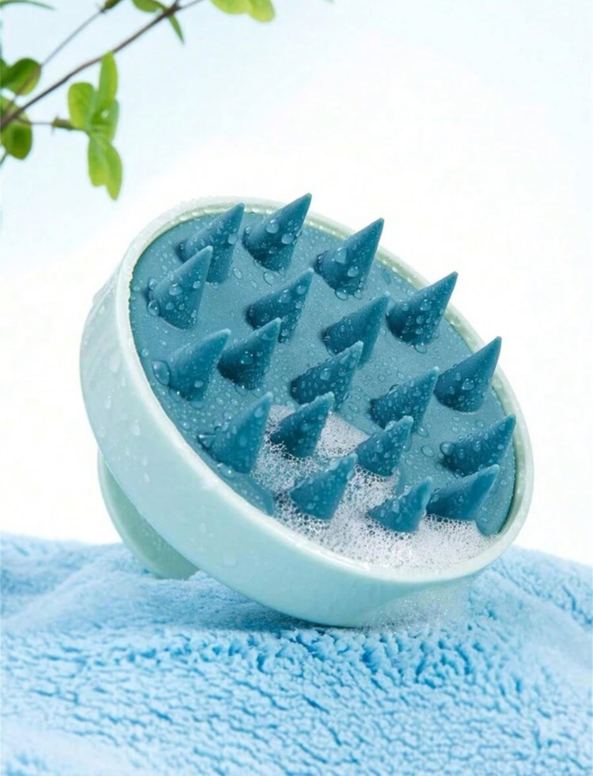 Brosse de Massage
