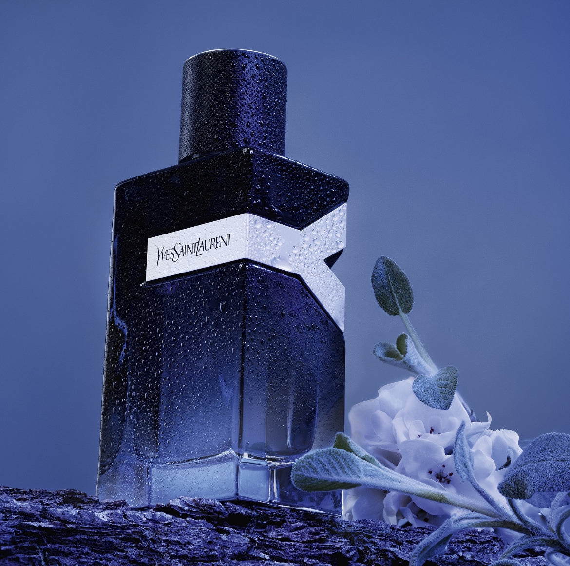 YVES SAINT LAURENT