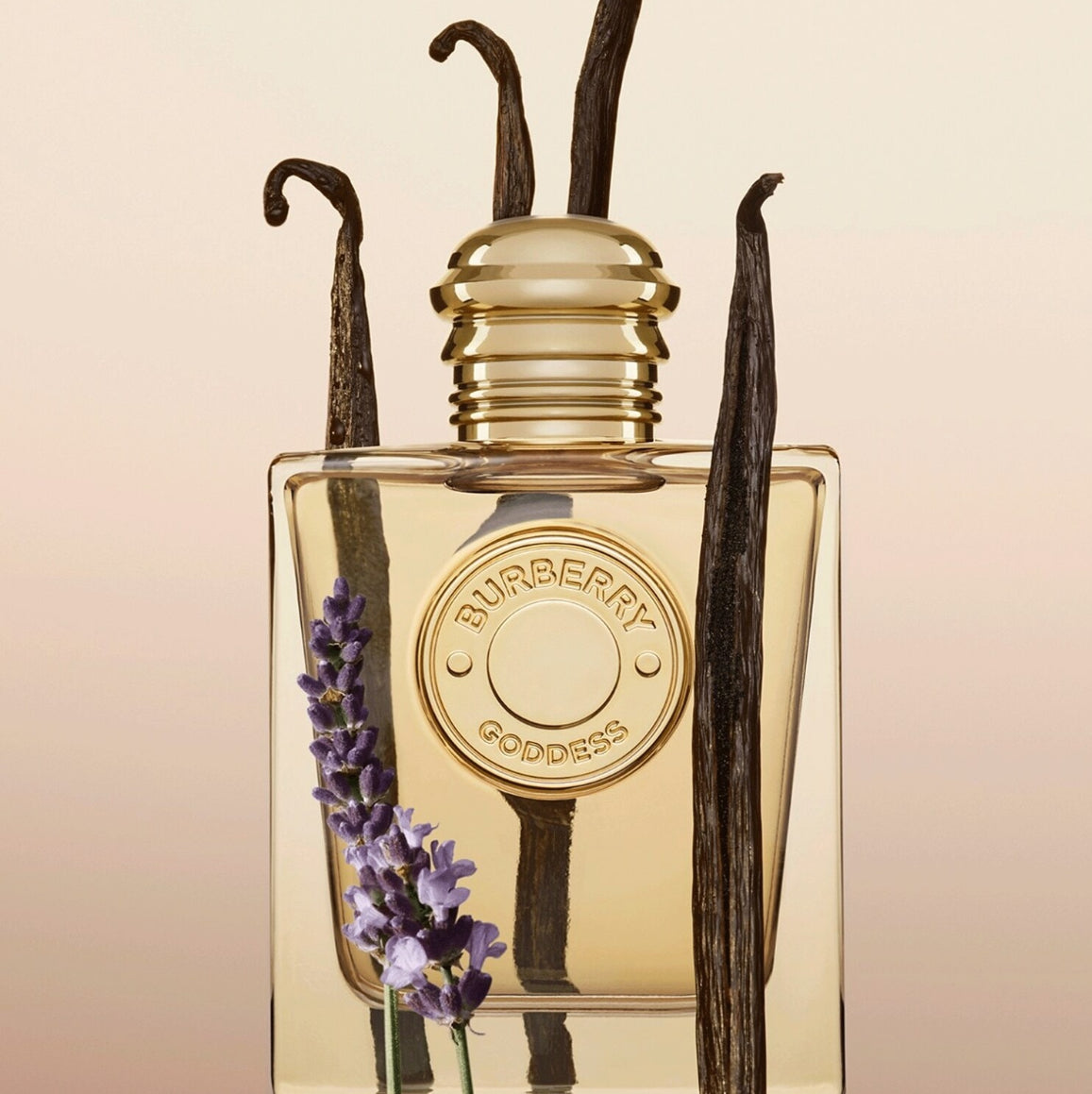 BURBERRY eau de parfum intense burberry goddess