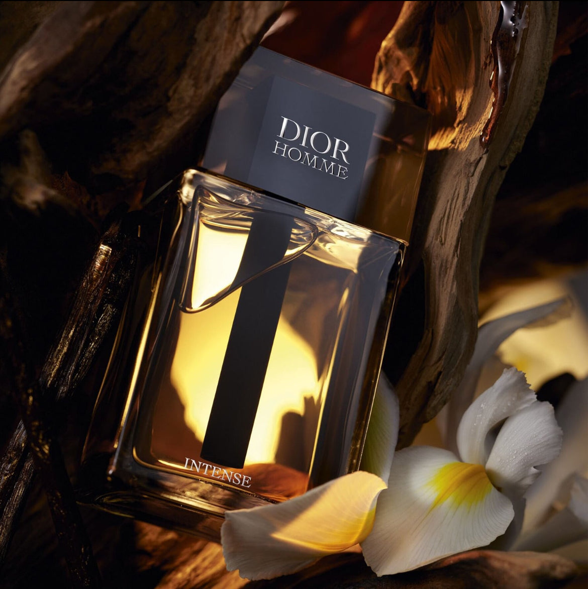 DIOR Homme Intense eau de parfum notes boisées, facette ambrée, iris et vanille
