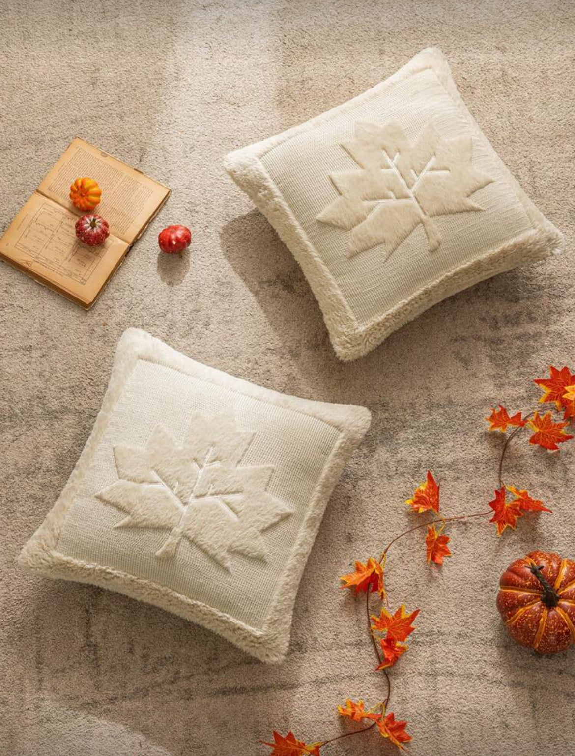Housse de coussin