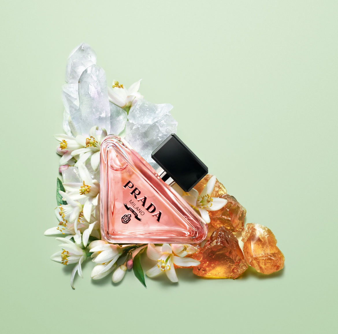 PRADA Paradoxe