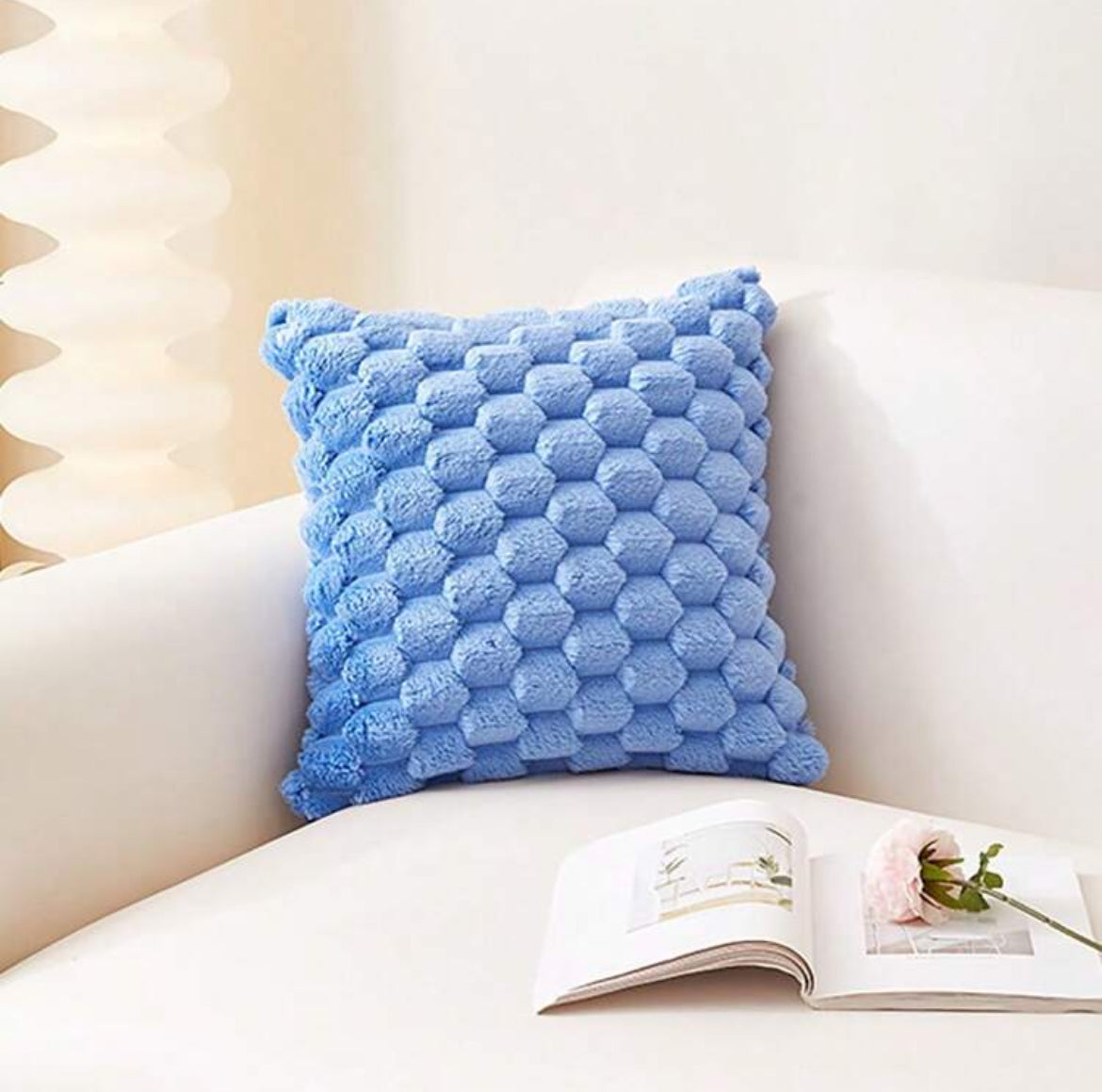Housse de coussin