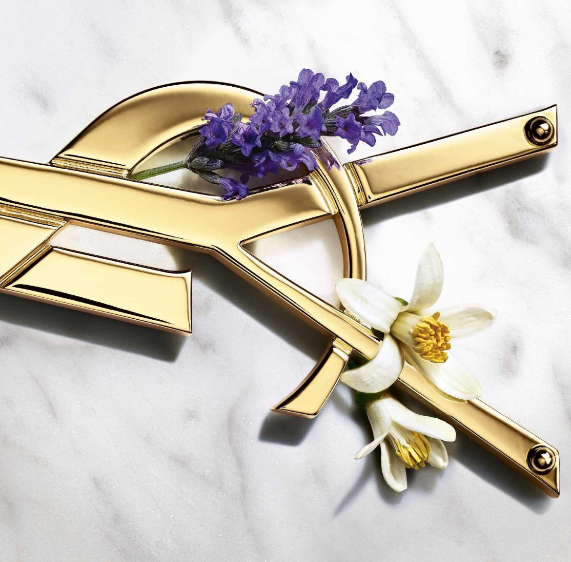 YVES SAINT LAURENT libre  eau de parfum