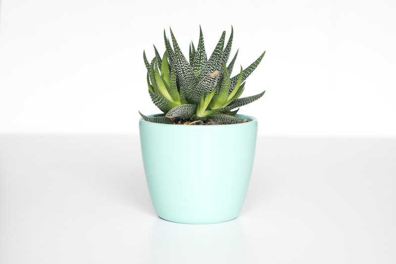 Plante Artificielle Monstea en Pot Céramique 60cm
